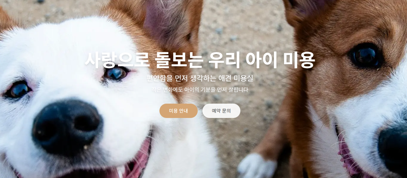 애견 미용실